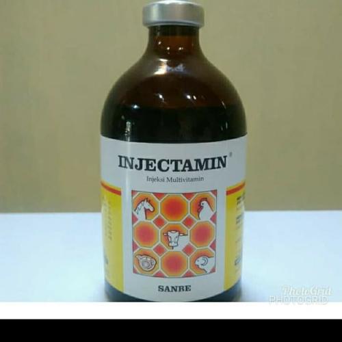 Gambar Multivitamin Lengkap Untuk Hewan Ternak (INJECTAMIN 100 ml) dari Putrigunungfarmbogor Kota Bogor Tokopedia