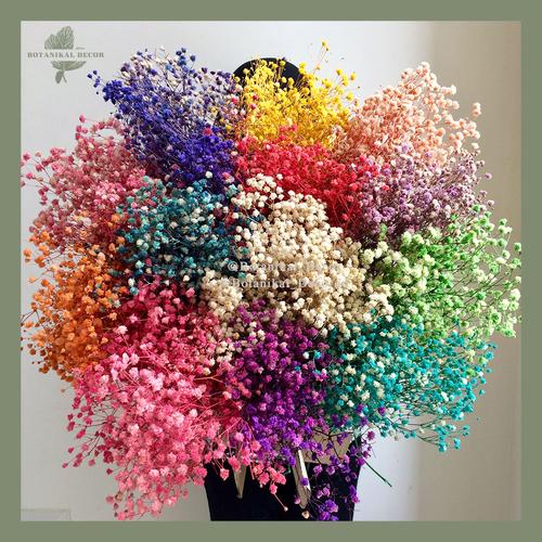 Foto Produk Preserved Baby's Breath Gypsophila Bunga Kering Asli Dried Flower Baby - TIFFANY BLUE dari Botanikal_Decor.id
