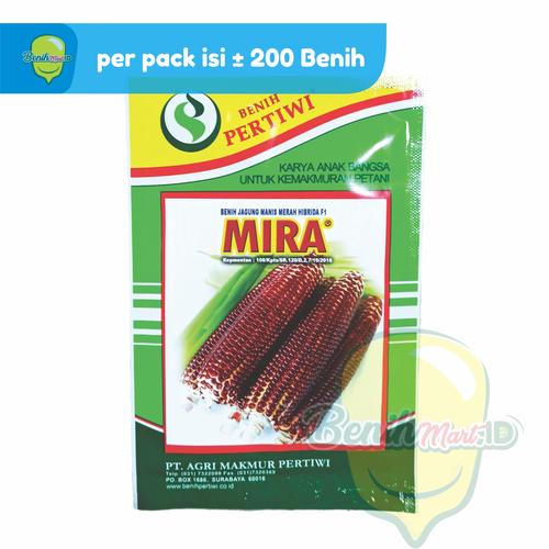 Gambar Benih Jagung Manis Hibrida Merah MIRA Isi 200 Benih dari benihmart.id Kota Surabaya Tokopedia