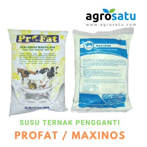 Jual Susu Ternak Pengganti Indukan Cempe Anak Kambing Domba Sapi Babi 1kg Maxinos 1kg Kab Bandung Agro Satu Tokopedia