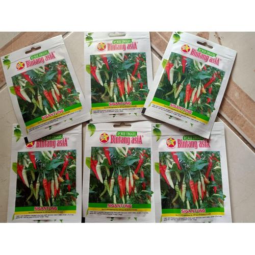 Gambar Benih Bibit Cabe Rawit Setan dari hidroponik nusantara Jakarta Timur Tokopedia