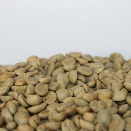 Gambar Kopi Arabika Biji Green Bean Natural Gayo Aceh 1Kg AZA COFFEE dari Azacoffee Kab. Bener Meriah Tokopedia