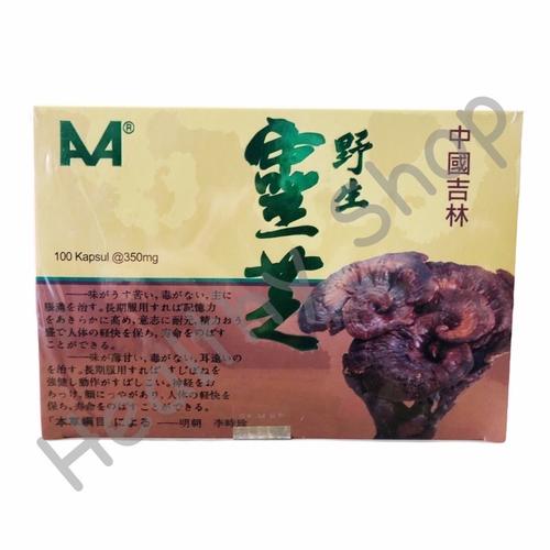 Foto Produk Jilin China Wild Lingzhi dari Healthy Shop 2
