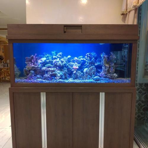 clearseal aquarium