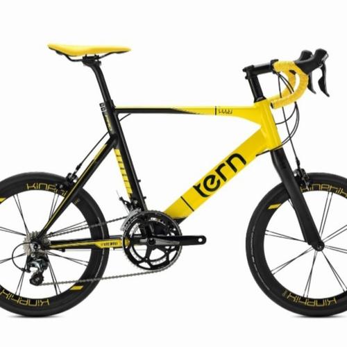 frame tern minivelo