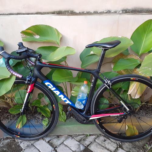 Jual Giant TCR Advance pro team alpecin 