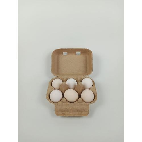 Jual Telur Negeri /Kampung/Bebek/ Negeri Omega /Asin