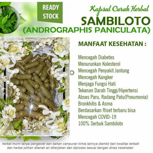 Foto Produk Serbuk Daun Sambiloto (Bentuk Kapsul isi 100 Pcs)Obat herbal murah dari Shafa Olshop007