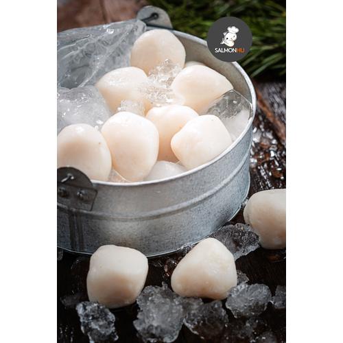 Foto Produk BAKSO Ikan Singapore Premium HOMEMADE TANPA Pengawet ( Ekor Kuning ) dari Salmon Hu Jakarta