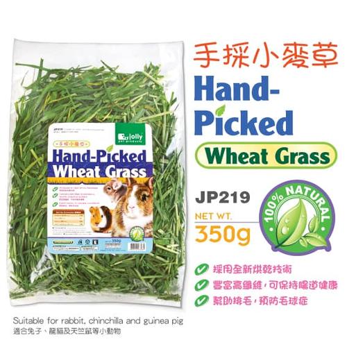 Foto Produk Jolly JP219 Hand-Picked Wheat Grass 350g dari Bakpao Rabbit
