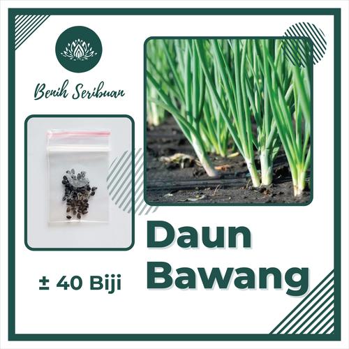 Gambar 40 Benih Daun Bawang F1 Loncang Fragrant - Bibit Sayuran Seribuan - DAUN BAWANG dari Benih Bibit Seribuan Kab. Boyolali Tokopedia