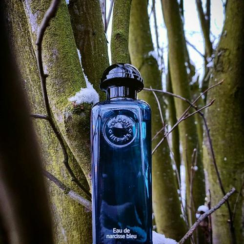 narcisse bleu hermes