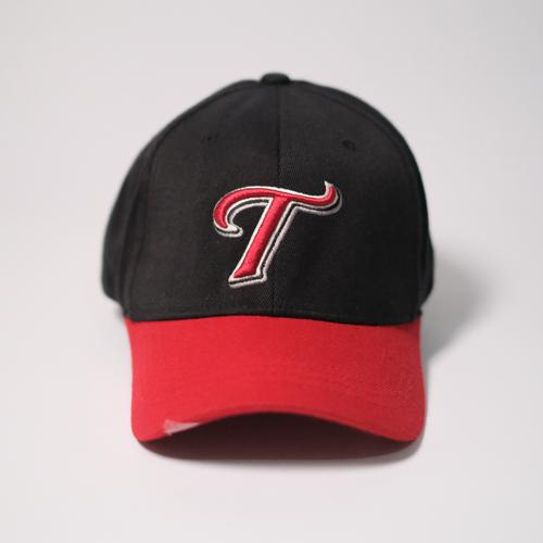 Jual Topi Baseball Cap MLB Texas 