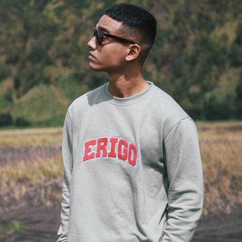 Jual SWEATER HOODIE PRIA ERIGO PREMIUM 