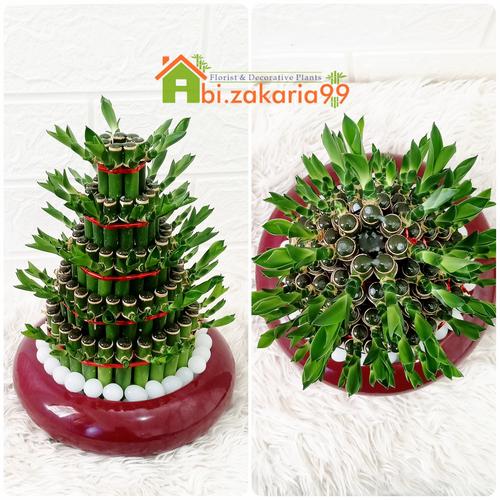 Gambar Bambu hoki Hidrogel Hiasan/dekorasi/pajangan Rumah/kantor dari abi. zakaria 99 Jakarta Barat Tokopedia