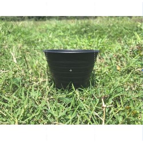 Jual RAJA INDO Pot Tawon Mdn 10 Cm Hitam Motif Tawon bukan Pot Tawon ...