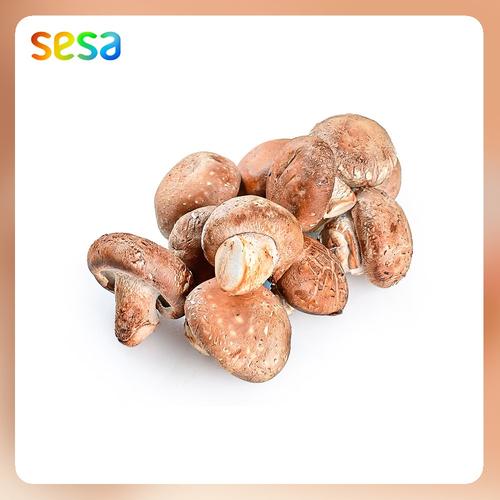 Foto Produk Jamur Shitake Natural 200g dari SESA Official