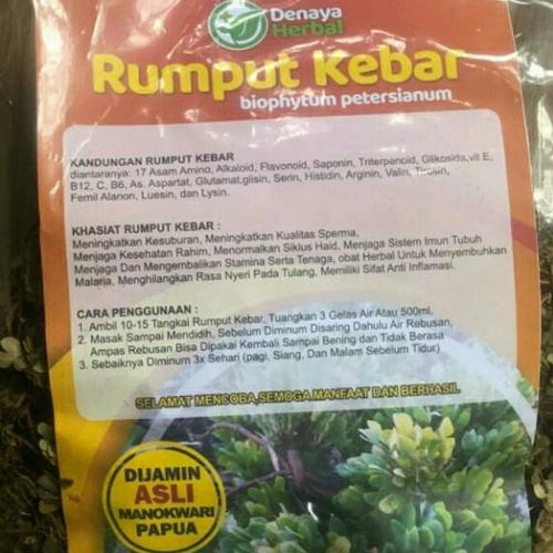 Foto Produk RUMPUT KEBAR PENYUBUR KANDUNGAN ASLI PAPUA - RUMPUT HERBA -OBAT HERBAL dari kedai kalingga