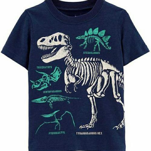 Foto Produk Felove 167 Dino Kerangka Kaos Anak Laki Laki Ukuran 1-10 Tahun - 1 Tahun dari Felove Girls