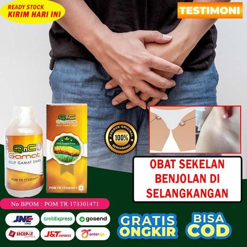 Gambar Obat Pengempis Sekelan Benjolan Di Selangkangan Herbal QnC Jelly Gamat dari Dijeksi Herbal Kota Bandung Tokopedia