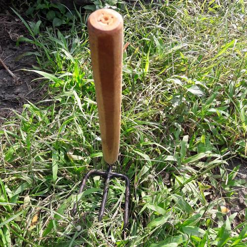Jual garuk mini pacul - Kab. Magelang - musafir_farm | Tokopedia