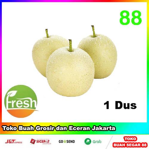 Gambar Pear Century Buah Segar / Pir Century Fresh Import Murah Per 1dus 16kg dari Toko-Buah-88 Jakarta Barat Tokopedia