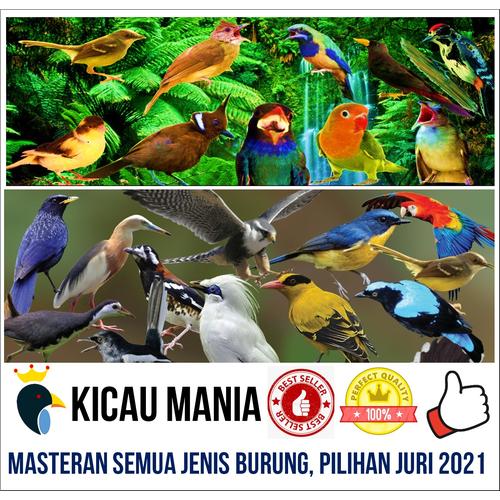 99 Gambar Semua Jenis Unggas Gratis