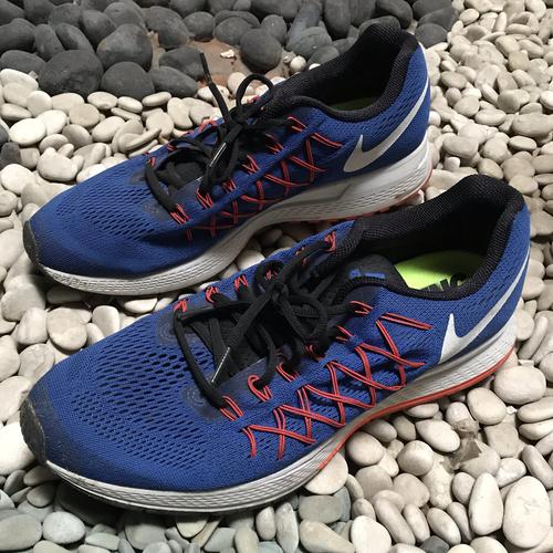 Jual Nike Air Pegasus 33 - biru - EUR 47 - Jakarta Barat - Planga\u0026Co. |  Tokopedia