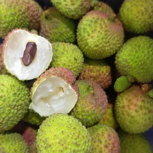 Foto Produk LECI MADU dari RAJA ALPUKAT