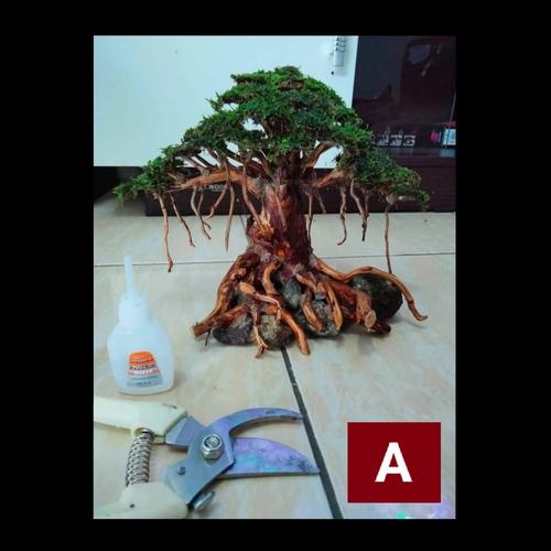 Jual bonsai aquascape/bonsai aquarium/pohon bonsai/hiasan aquarium