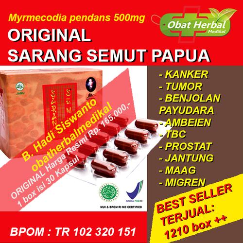 Foto Produk Obat Benjolan Payudara, Kanker & Tumor Payudara Sarang Semut 30 Kapsul dari Obatherbalmedikal