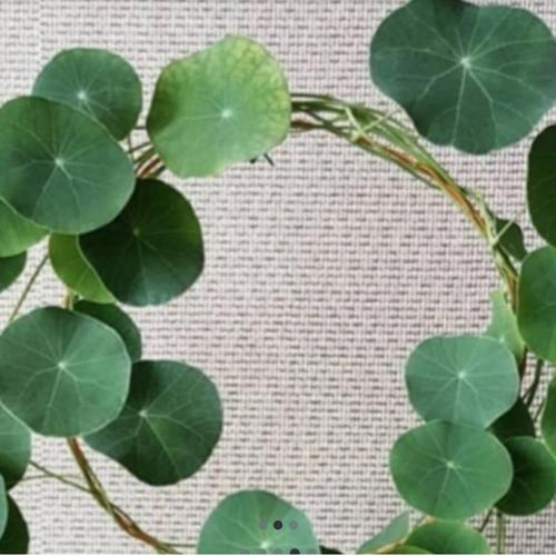 Jual loop planters besi 40cm media rambat bulat hitam - Jakarta Timur ...