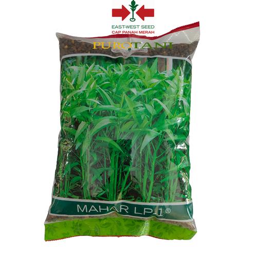 Gambar Benih Kangkung Mahar LP-1 1KG panah merah dari Purotani.ID Kab. Purworejo Tokopedia