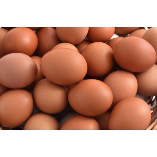 Foto Produk Telur / Telor Ayam kg ( kilogram ) dari Telur Indonesia