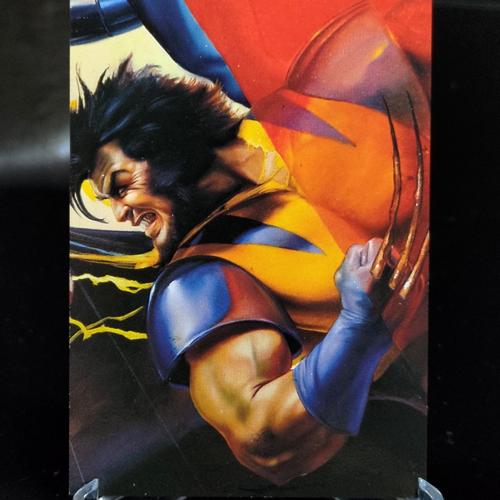Foto Produk Impact insert DC vs Marvel Wolverine Emboss trading card dari Charu Toys