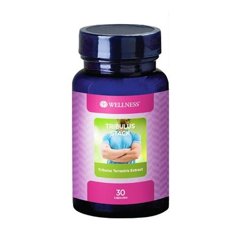 Foto Produk Wellness Tribulus Stack - 30 Capsules dari The Icon1898