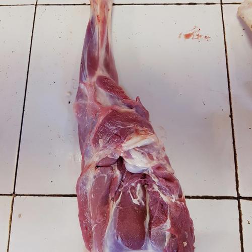 Gambar Paha Depan Kambing Muda dari KambingQu Jakarta Pusat Tokopedia