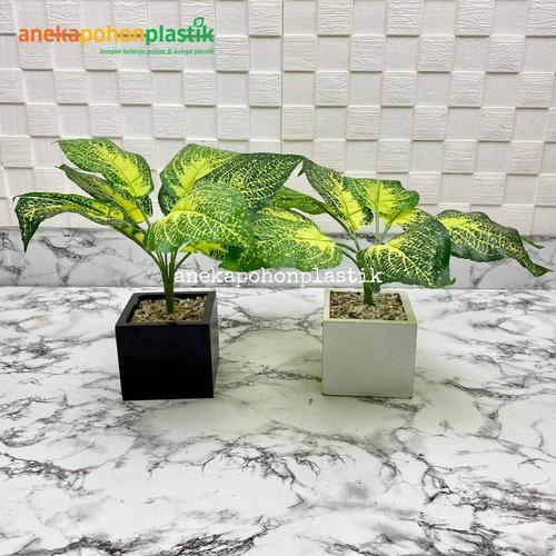 Jual Pohon Daun Puring X9 Hijau Mini Plastik Tanaman Artificial Hiasan ...