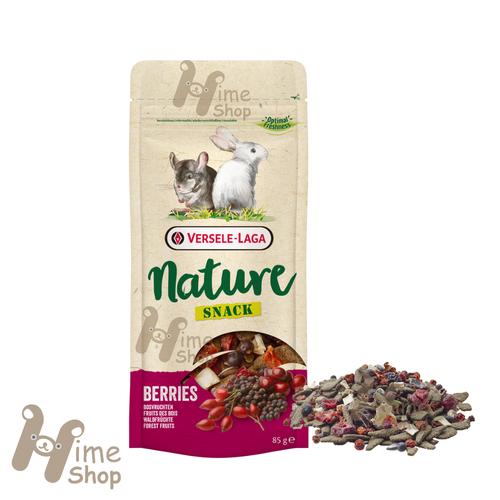 Foto Produk Versele Laga Nature Snack Berries 85gr Hamster Marmut Kelinci Chinchil - EXP 2021-08 dari Hime petshop