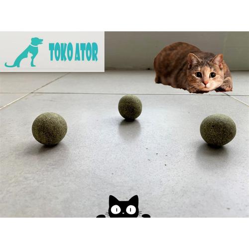 catmint toy