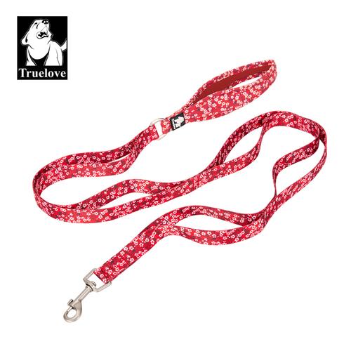 padded dog lead