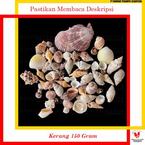 Foto Produk Aksesoris Cangkang Kerang Hias Prakarya Dekorasi bondarts - Kerang 150 Gram dari BONDARTS