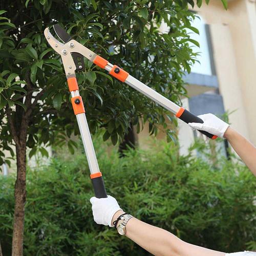 Jual Gunting Dahan Pohon Ranting Taman Telescopic Gagang Panjang Jakarta Barat Rumah Perkakas 88 Tokopedia