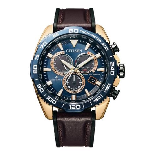 Promo Citizen Promaster Gents Watch 