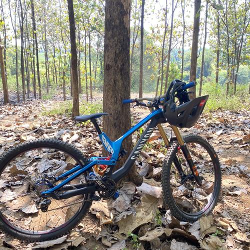 Jual canyon sender cf9 size s roda 29 - Kab. Gresik - mountain bike gallery  | Tokopedia
