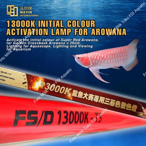 Jual Lampu Tanning Celup Submersible T5 Mayin 13000k Aquarium Ikan Arwana 112cm Packing Pvc Jakarta Barat Foi Aquatic Tokopedia Jual Lampu Tanning Celup Submersible T5 Mayin 13000k Aquarium Ikan Arwana 112cm Packing Pvc Jakarta Barat Foi Aquatic Tokopedia