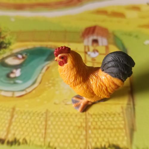 920 Gambar Hewan Ayam Jago Gratis