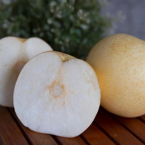 Foto Produk Pear Century Premium dari Jak Fresh