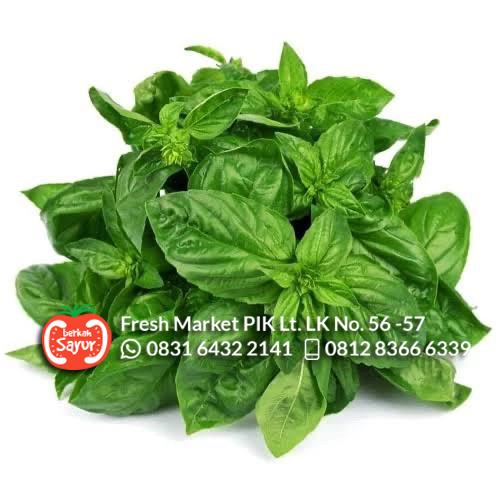 Gambar Daun Basil Fresh Segar 100gr dari Berkah fresh produce Jakarta Utara Tokopedia