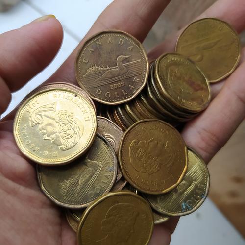 Gambar kanada 1 dollar tahun campur koin asing dari Jasinga Juara Kab. Bogor Tokopedia